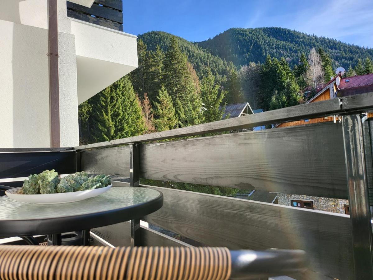 Dinvis Apartments Poiana Brasov Eksteriør billede